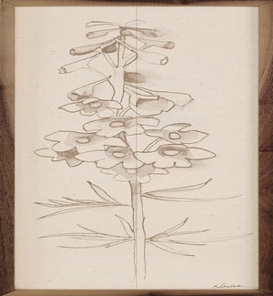Delphinium I Flower Stem By Shirley Novak